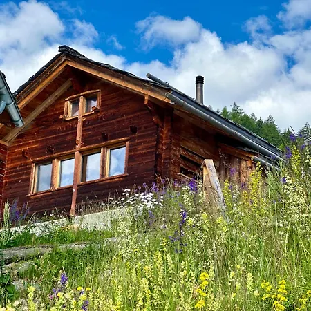 Chalet Bleusy